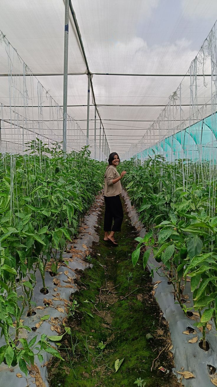 agriculture event